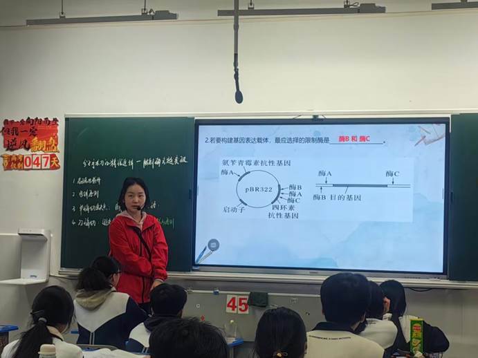 刘梦琳